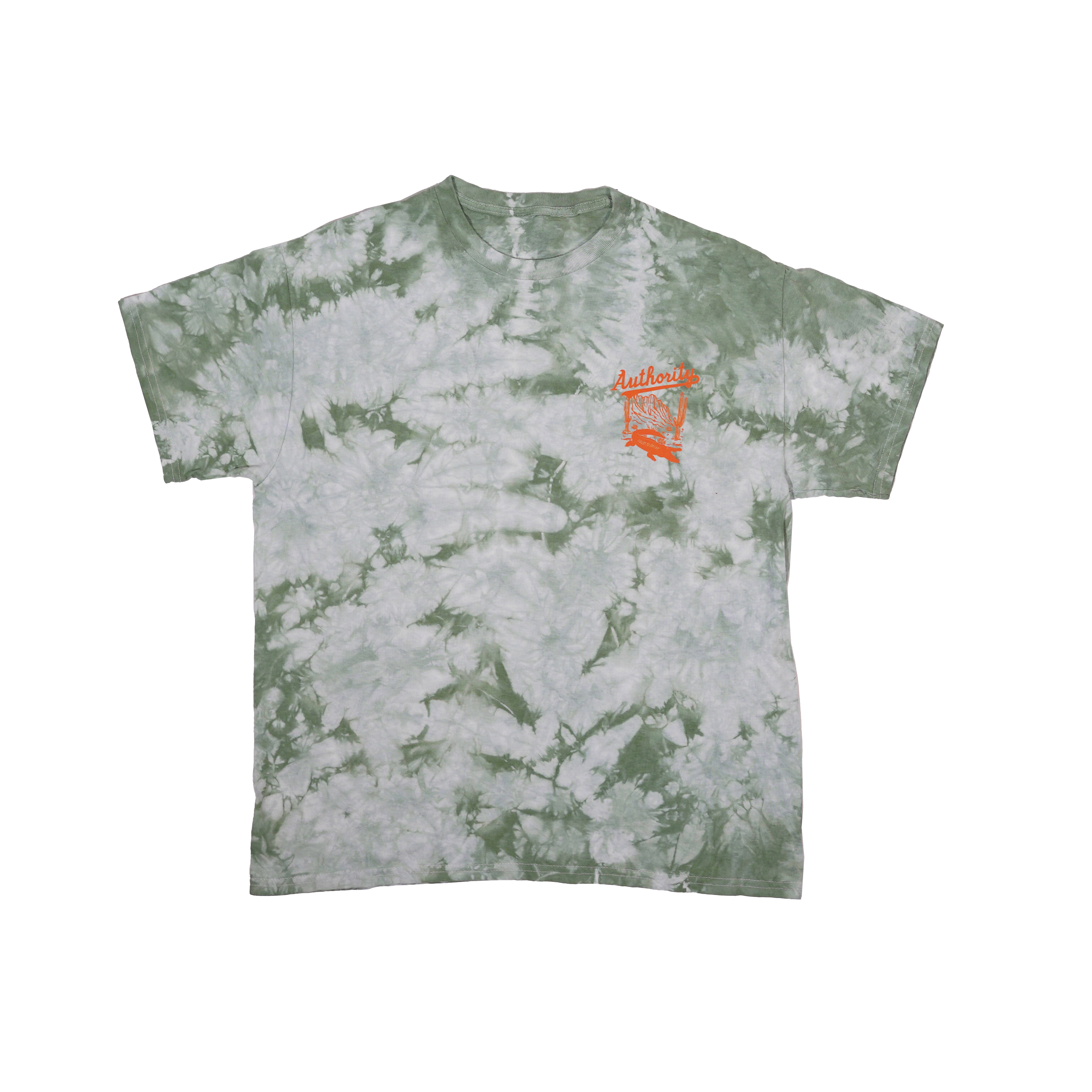 AZ & FL Spring Tour Tee - Grass